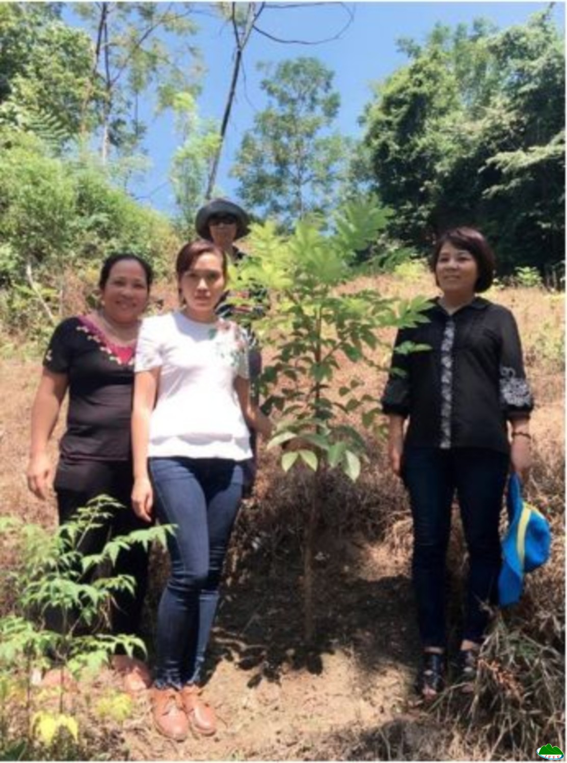 Nghiên cứu lựa chọn một số loài  cây đặc sản rừng có giá trị kinh tế cao làm cơ sở đề xuất mô hình phát triển sinh kế hộ gia đình nông thôn tại  huyện Na Hang và huyện Lâm Bình, tỉnh Tuyên Quang