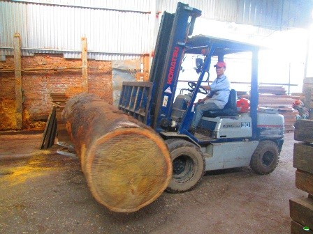 Investigate and assess the current status of business, production, management of wood processing and forestry seedling production facilities in Hanoi City